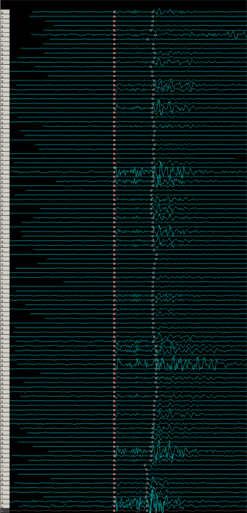 Nearest neighbour (CMP) aligned seismic traces Nearest neighbour aligned seismic traces image
